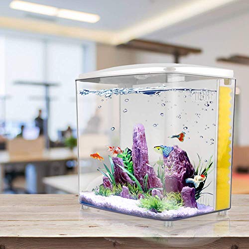 1.2 Gallon Betta Aquarium Starter Kit with LED Light and Filter Pump Q515