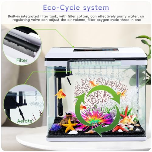10 Gallon Glass Aquarium Starter Kit with Temperature Display U320828