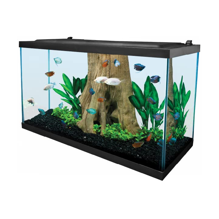 LED Aquarium 29 Gallons with Lighting, Filtration, Heater P905