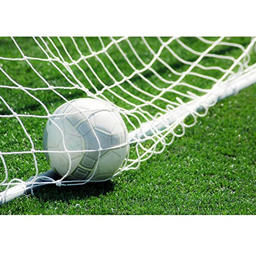Soccer Net for Backyard Football Goal Practice C381