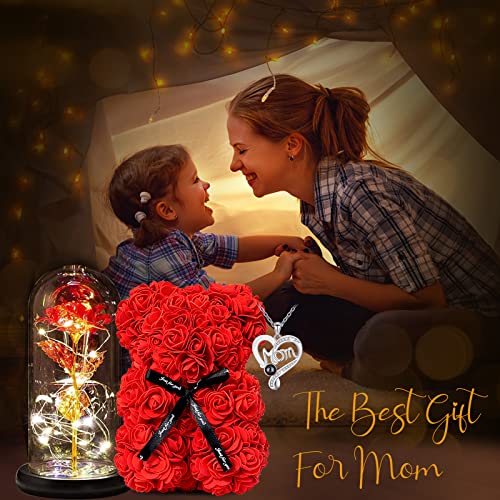 Rose Bear in Glass Dome Gift for Mom Wife Girlfriend O4692