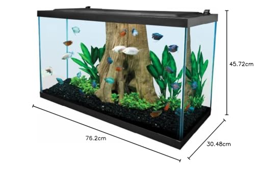 LED Aquarium 29 Gallons with Lighting, Filtration, Heater P905