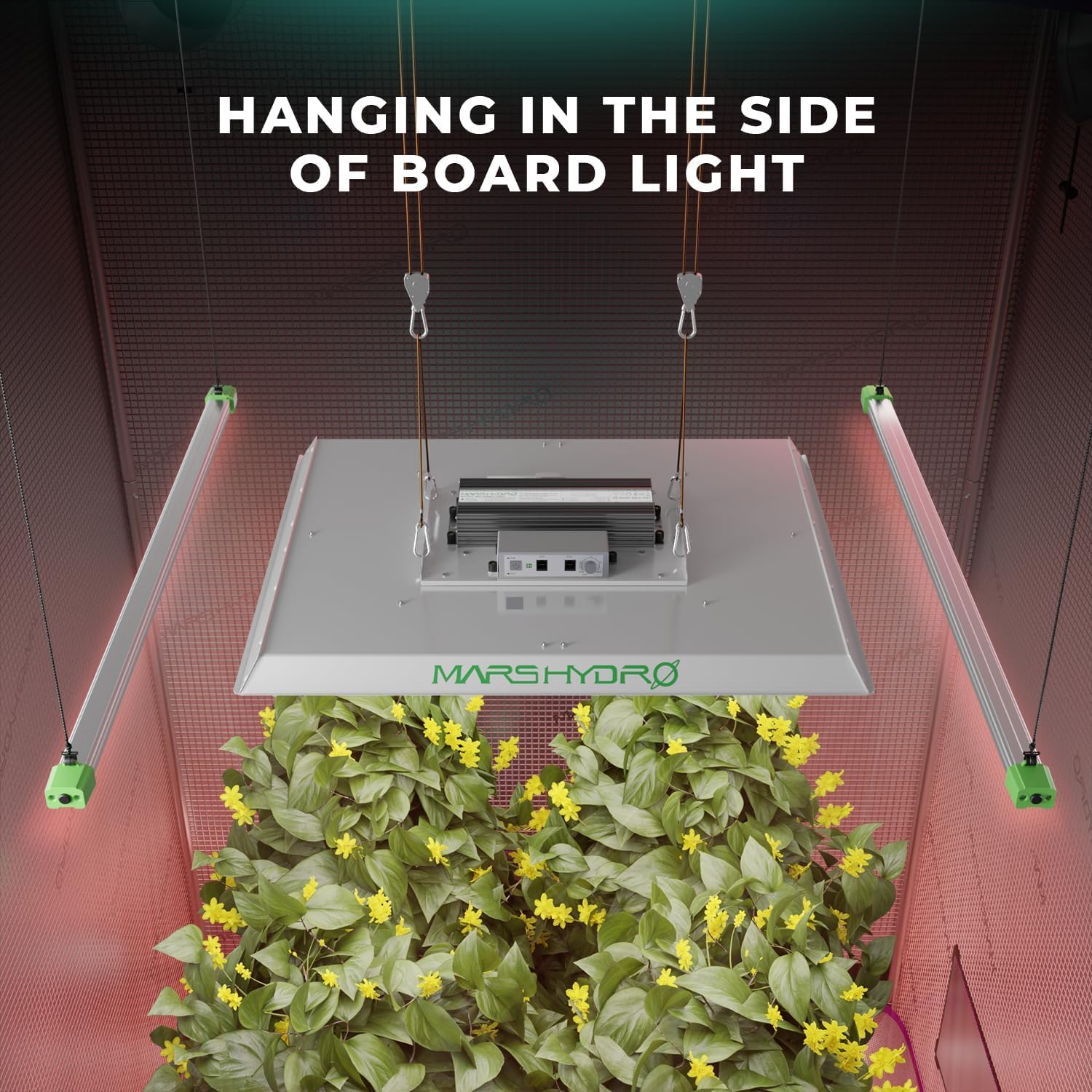 300W LED Grow Light for 3x3ft Tent B507688