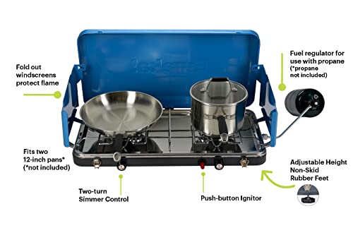Portable 2-Burner Propane Camping Stove P70525
