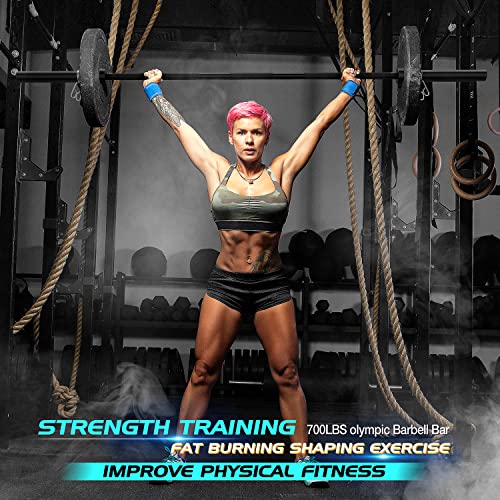 7-Foot Olympic Barbell Bar, 700 lbs Capacity, Solid Iron Straight Weightlifting Bar Y343147