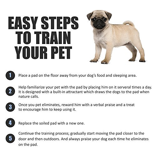 XXL Puppy Pads Leak-Proof 30"x36" 40 Count I225