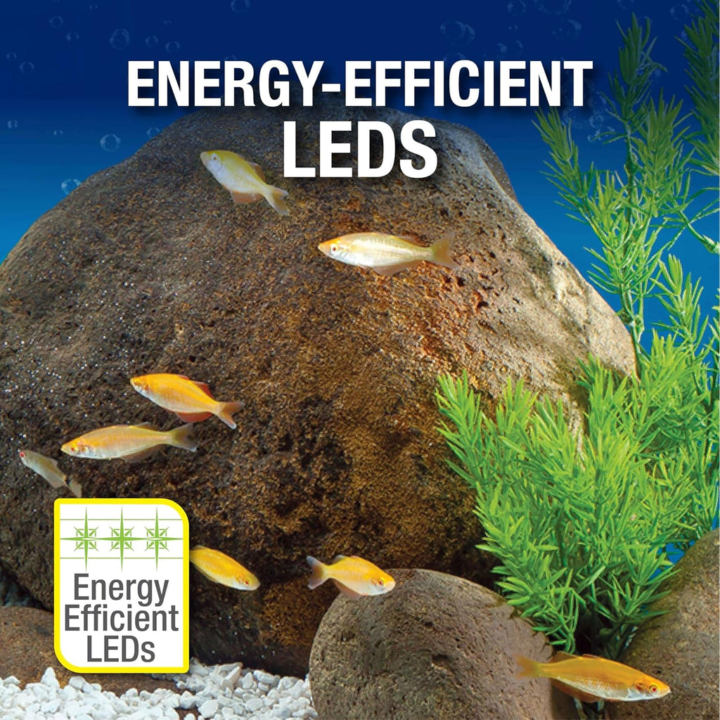 20 Gallon Complete Tropical Fish Tank Kit with LED Lighting L81322
