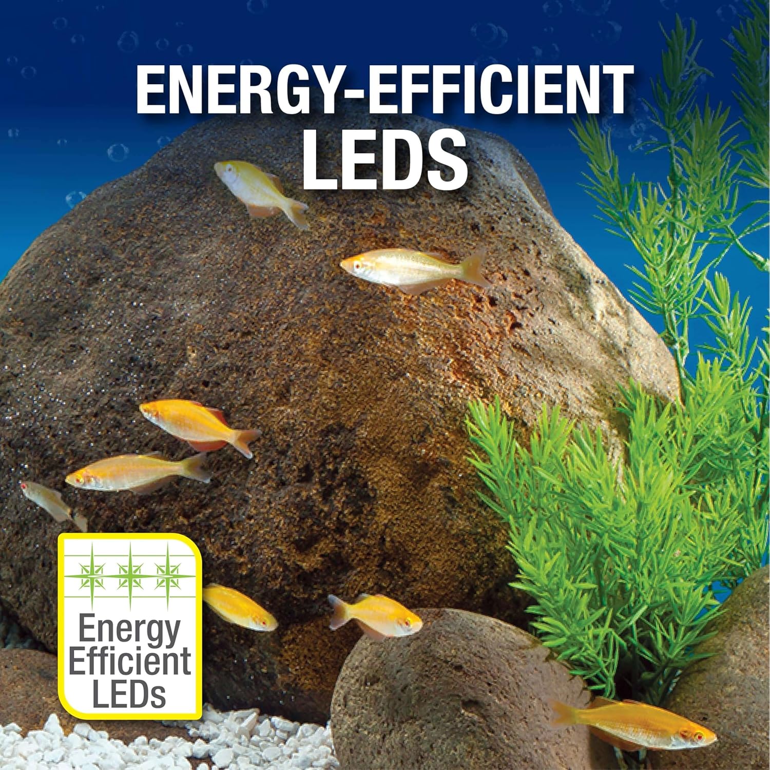 20 Gallon Complete Tropical Fish Tank Kit with LED Lighting L81322