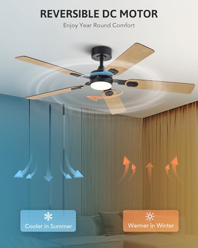 Walnut Ceiling Fan with Lights and Remote, 52 Inch, 5 Blades B764902
