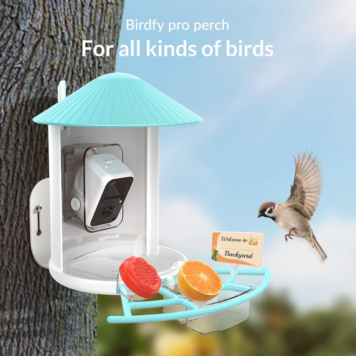 NETVUE Birdfy Pro + Hummee Feeder - Bird Feeder with Camera, Wider Perch DIY Add-ons, Hummingbird Feeder, Suet Ball, Jelly Feeder, Auto Capture Bird Videos & Motion Detection, Ideal Gift for Family