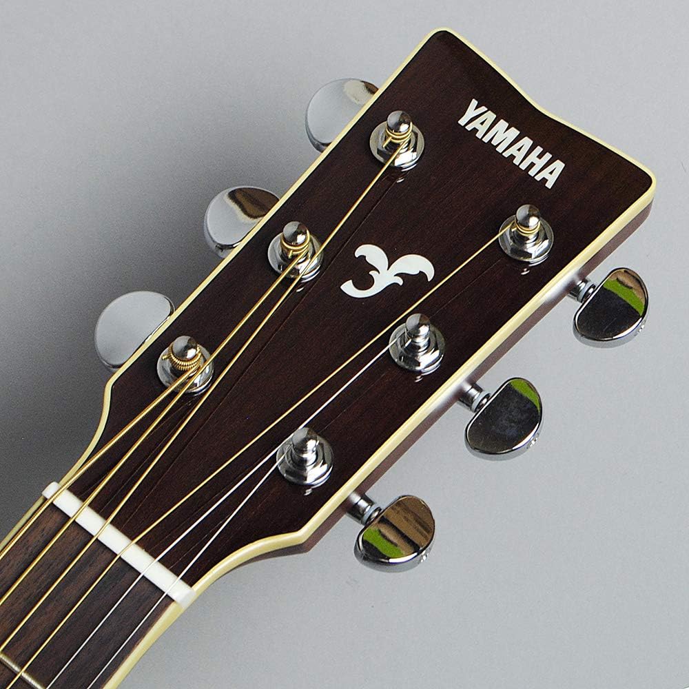 Concert Acoustic Guitar O50093