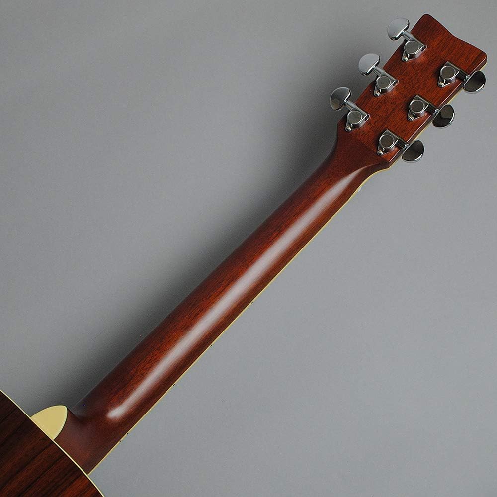 Concert Acoustic Guitar O50093