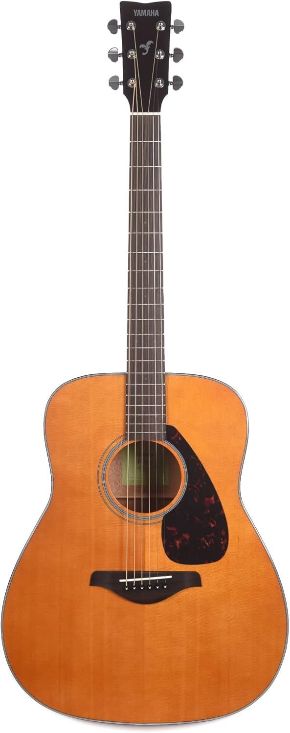 Acoustic Dreadnought Guitar Natural C480