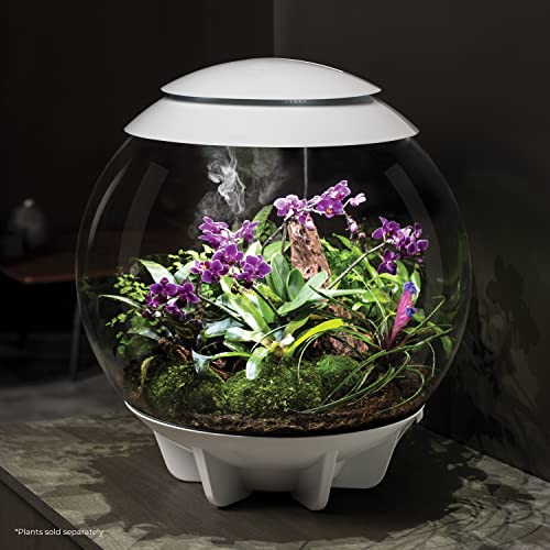 Terrarium 16 gallon with LED lighting, white T69461