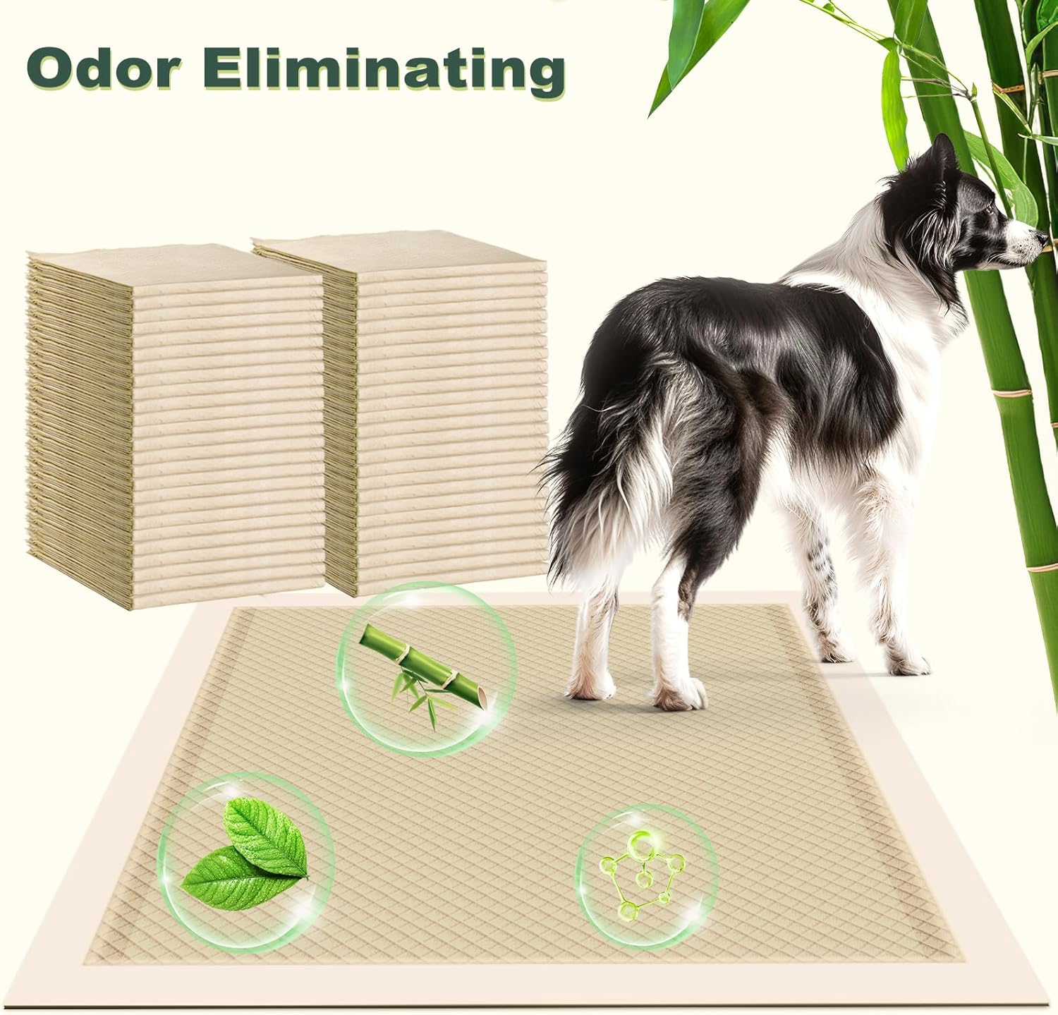 Dog Training Pads 28x34in Extra Large, Super Absorbent Leak-Proof, Disposable (30 Counts) Y3944
