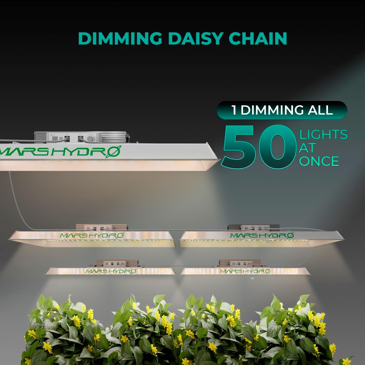 300W LED Grow Light for 3x3ft Tent B507688