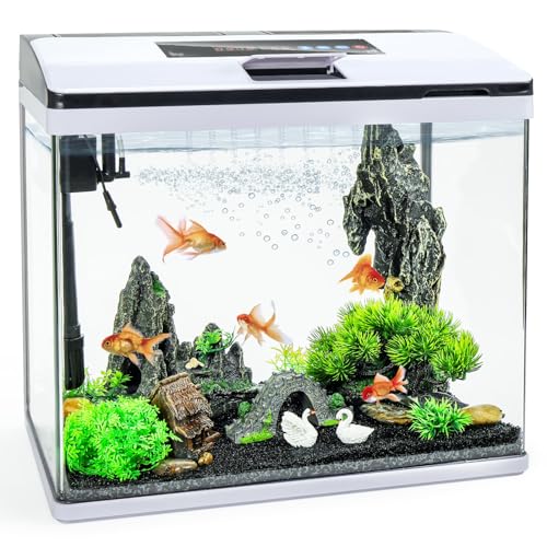 10 Gallon Glass Aquarium Fish Tank Starter Kit with Temperature and Time Display for Betta Fish Featuring Crystal Clear 360° Viewing, Eco-Cycle Filtration, Air Pump