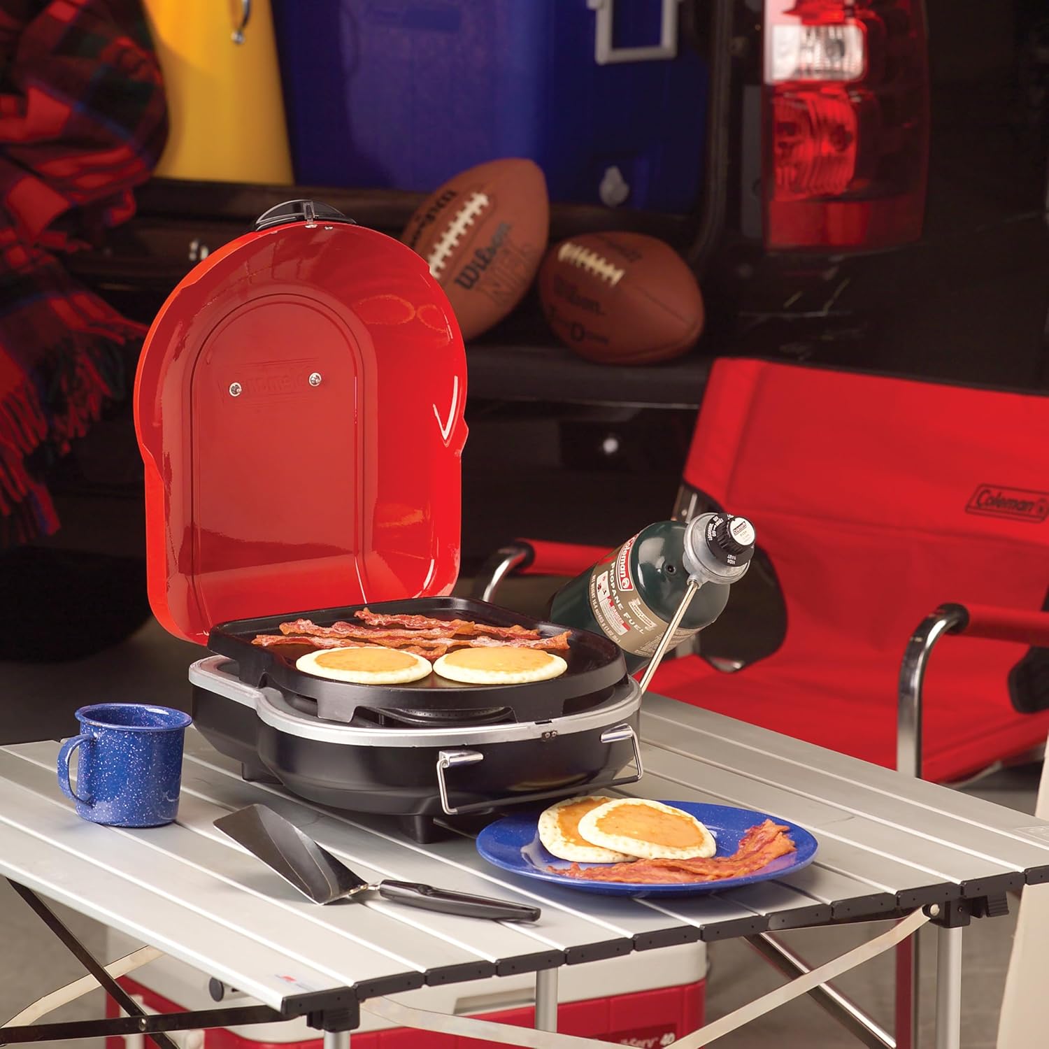 Propane Grill with Fold N Go Design P43835