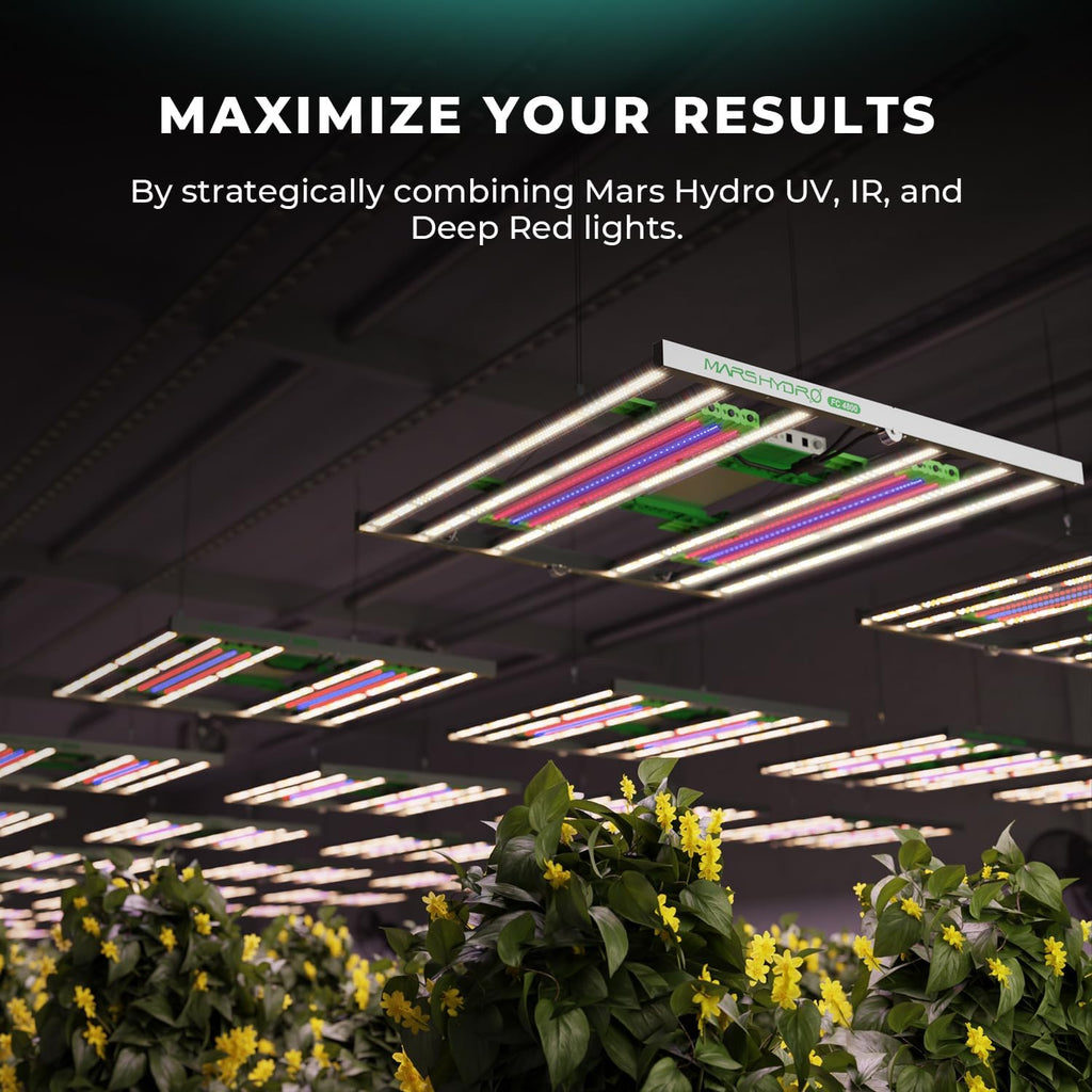 300W LED Grow Light for 3x3ft Tent B507688