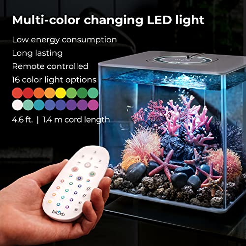 Acrylic 8-Gallon Aquarium with Remote-Controlled LED Lights, Black S5784