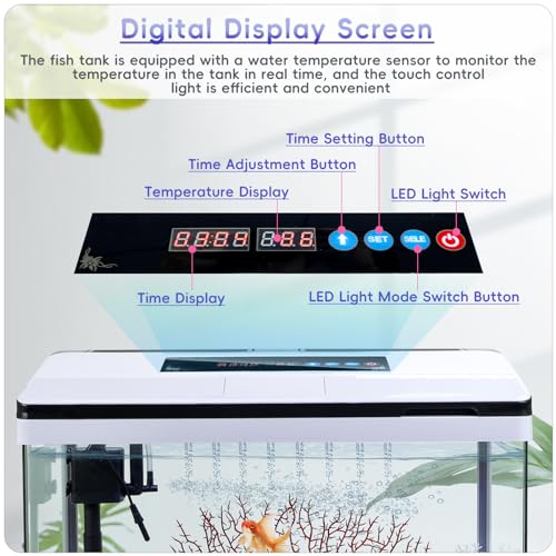 10 Gallon Glass Aquarium Starter Kit with Temperature Display U320828