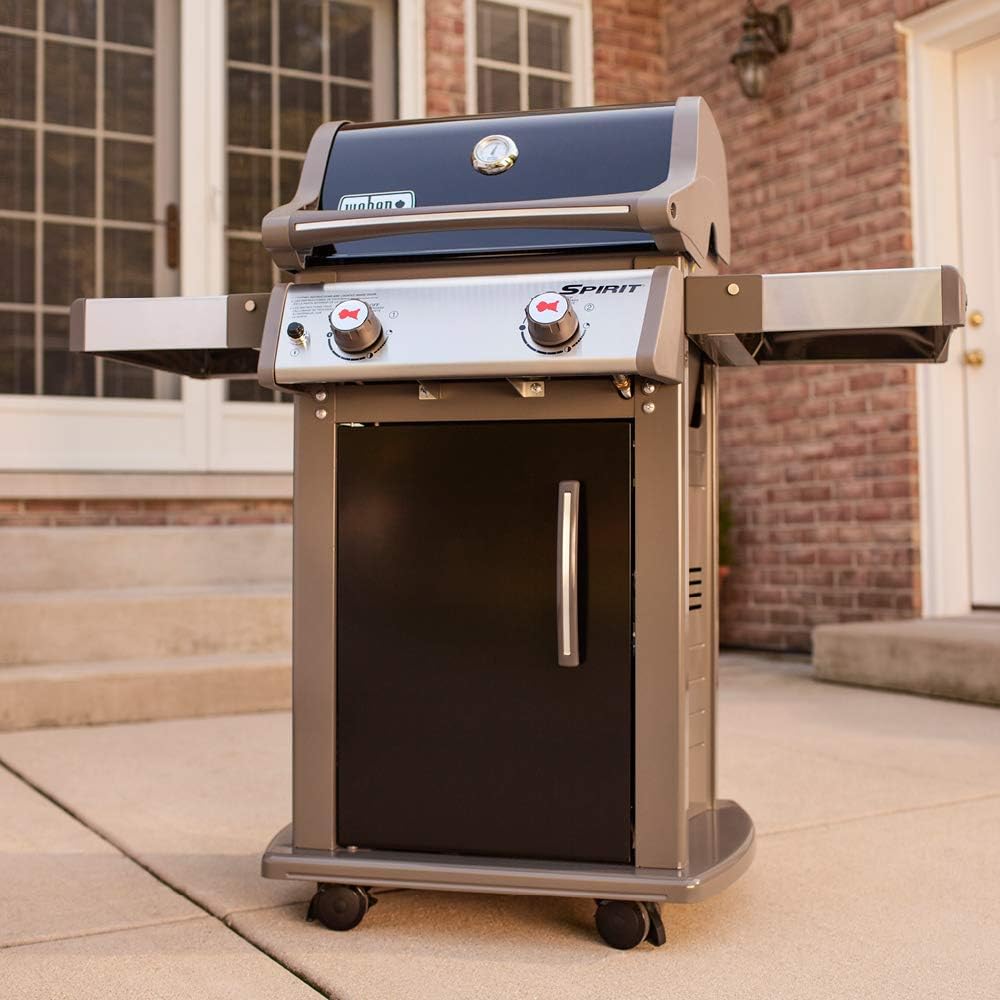 2-Burner Gas Grill, Liquid Propane, Black F3643