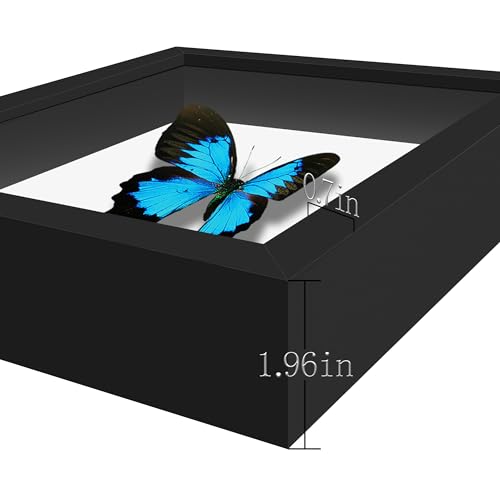 Shadow Box Frame 11x14 with Real Glass and Black Back X8712