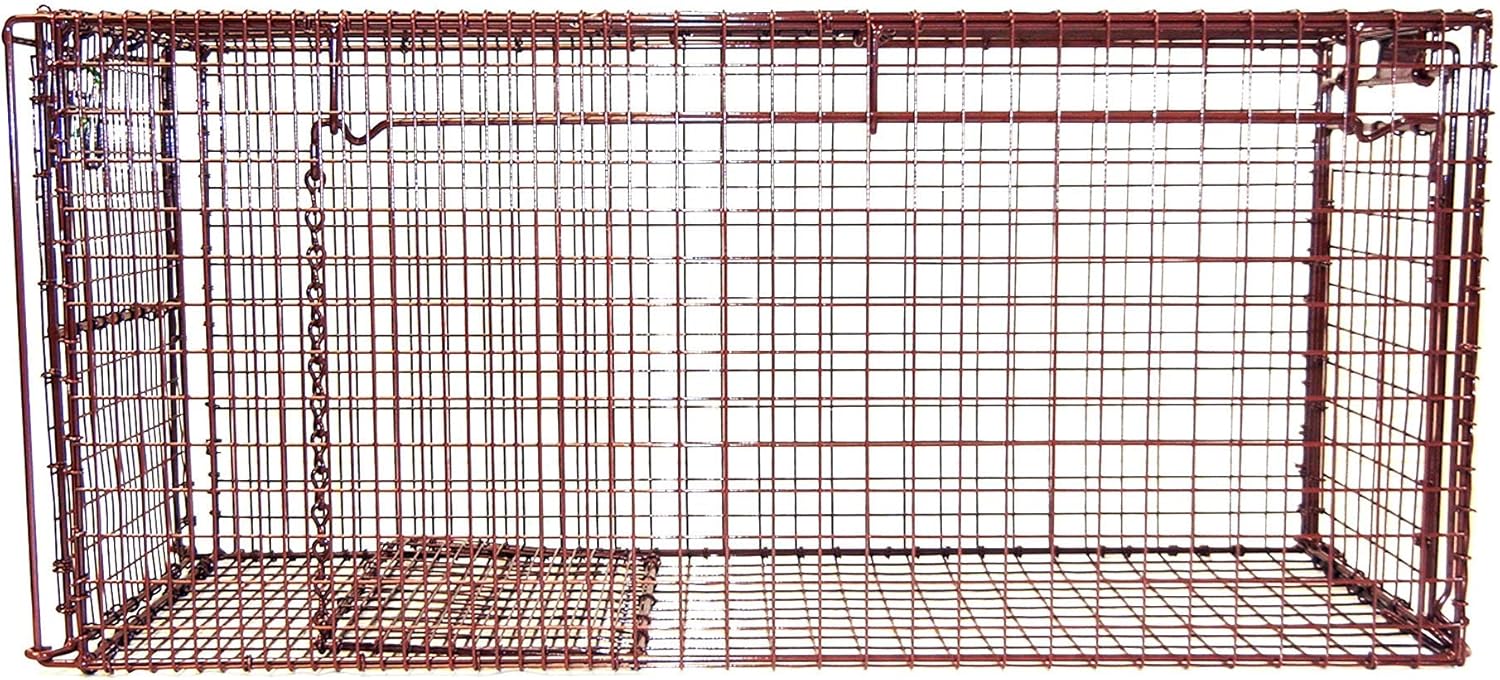 Humane Live Animal Trap for Cats, Rabbits & Small Animals - 30" L x 14" H x 12" W R4676