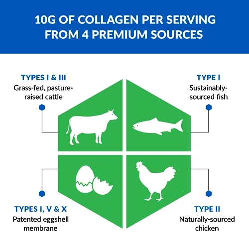 Multi Collagen Peptides Powder – Vanilla – Hydrolyzed Protein R536