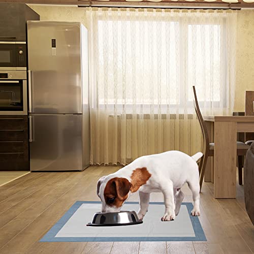XXL Puppy Pads Leak-Proof 30"x36" 40 Count I225