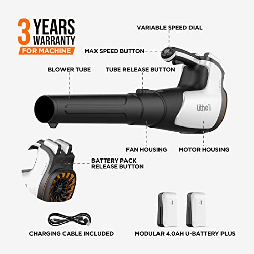 Cordless Leaf Blower with Battery and Charger D971896