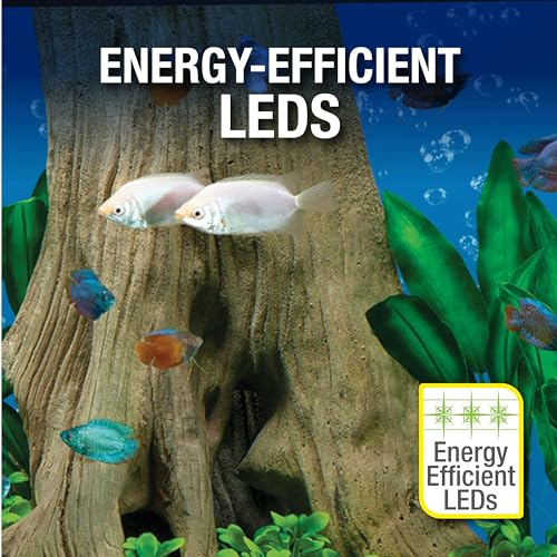 LED Aquarium 29 Gallons with Lighting, Filtration, Heater P905