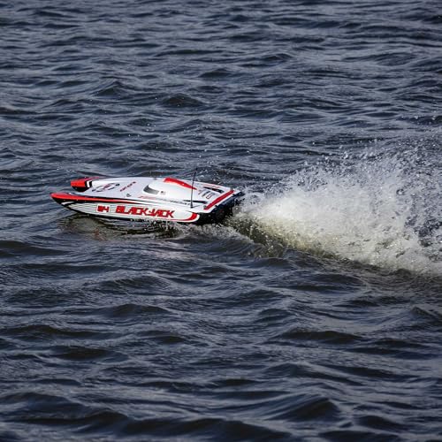 Brushless Catamaran Boat 24" RTR N6983