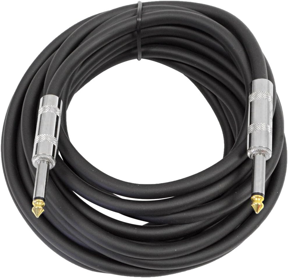 Pair of 10" DJ Speakers with Two 20' Speaker Cables K745899