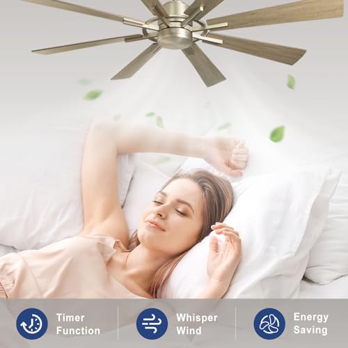 Large Ceiling Fan with Lights 60 Inch, Remote Control, Dimmable LED, Indoor Modern, Black and Gold S954
