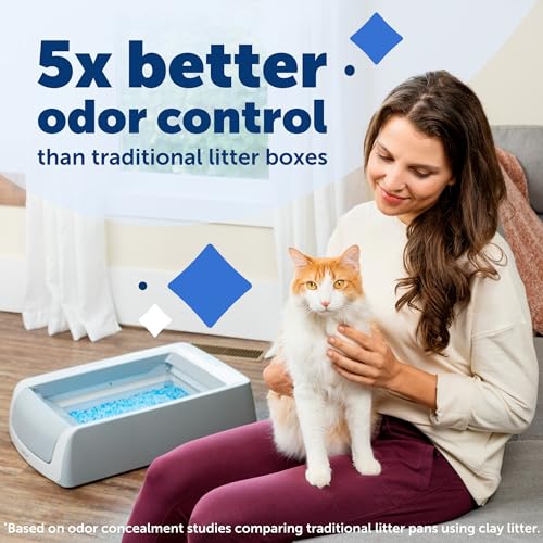Self-Cleaning Cat Litterbox with Disposable Crystal Tray V42565