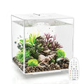 biOrb Cube 30 Acrylic 8-Gallon Aquarium with Multi-Color Remote-Controlled LED Lights Modern Compact Tank for Tabletop Display, Black