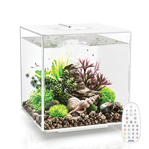 biOrb Cube 30 Acrylic 8-Gallon Aquarium with Multi-Color Remote-Controlled LED Lights Modern Compact Tank for Tabletop Display, Black