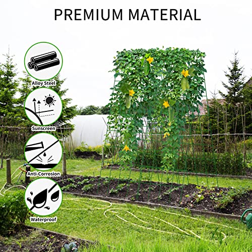 Cucumber Trellis A-Frame for Climbing Plants and Flowers D898369