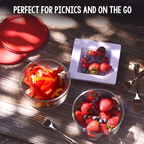 2 Cup Glass Food Storage Containers (6 Pack), Dishwasher Freezer & Oven Safe L2167