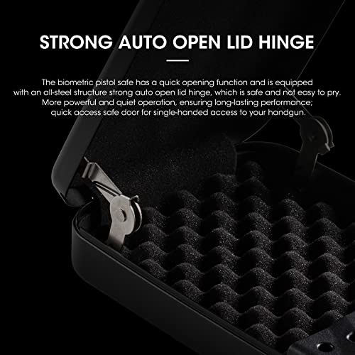 Portable Pistol Gun Safe Travel Case V76696