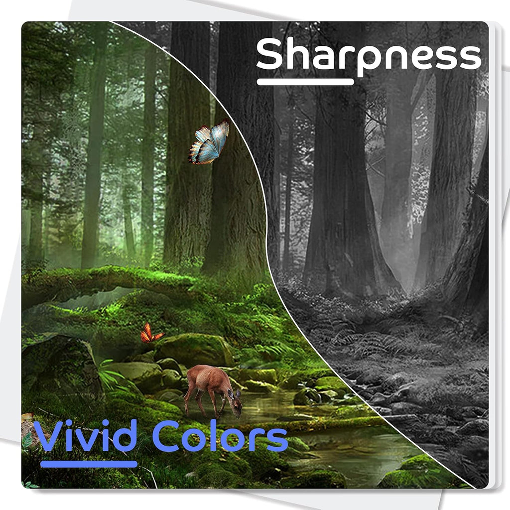 Ink Cartridges for Canon Printers (2 Black, 1 Tri-Color) R72651