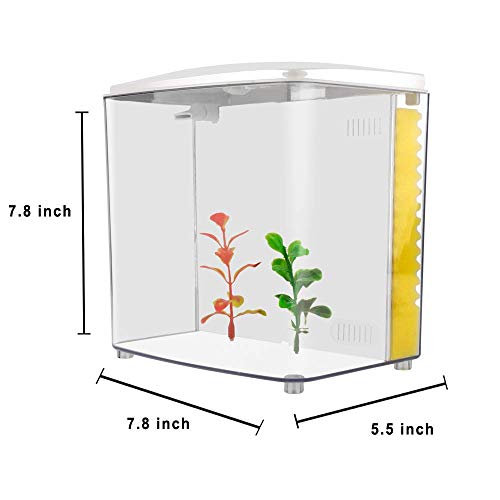 1.2 Gallon Betta Aquarium Starter Kit with LED Light and Filter Pump Q515
