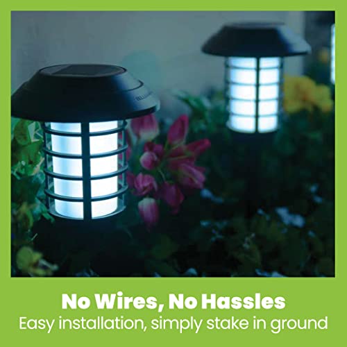 Solar Pathway Lights Color Changing LED Outdoor, IP67 Waterproof, 4 Pack C666950