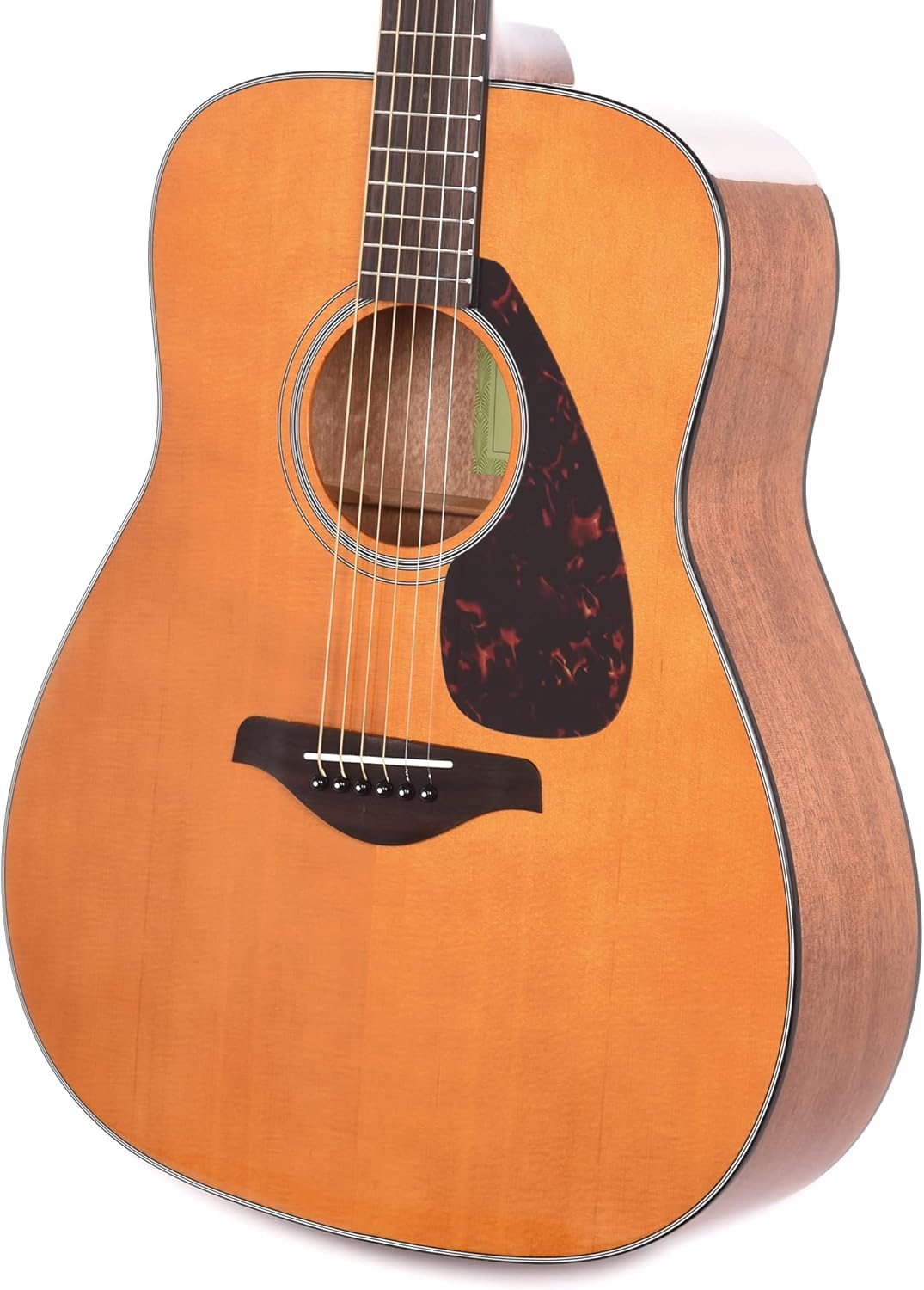Acoustic Dreadnought Guitar Natural C480