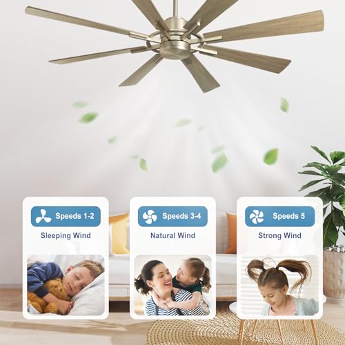 Large Ceiling Fan with Lights 60 Inch, Remote Control, Dimmable LED, Indoor Modern, Black and Gold S954