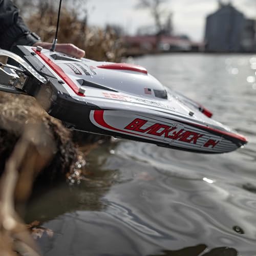 Brushless Catamaran Boat 24" RTR N6983