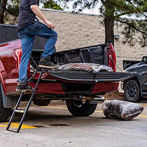 Tailgate Ladder, Black N890529