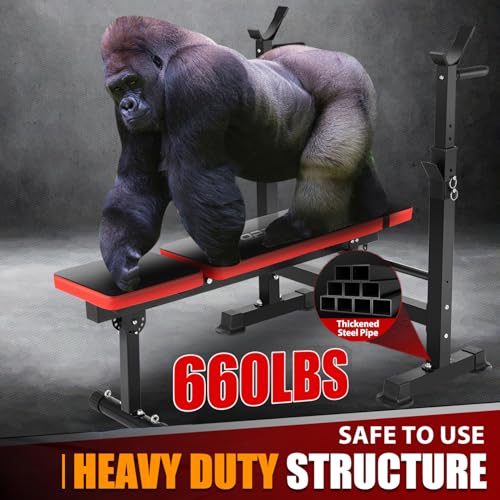 Adjustable Weight Bench with Squat Rack, Barbell Rack, Leg Developer for Home Gym J713