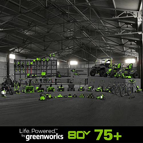 21-Inch 80V Self-Propelled Cordless Lawn Mower E22038